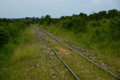 DSC_9613 (Large).JPG